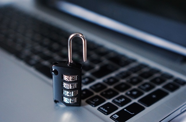 opportunità e sfide - cyber security  - pixabay Kris